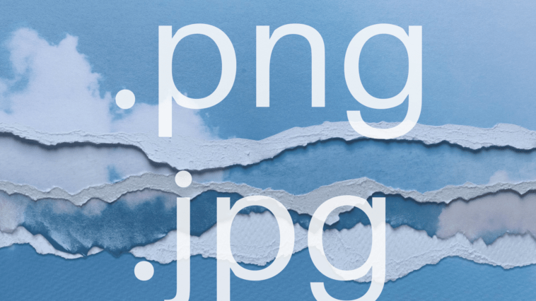 jpg vs png Bildformate mediahub360