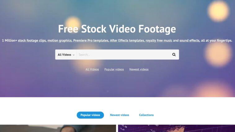 videvo review mediahub360
